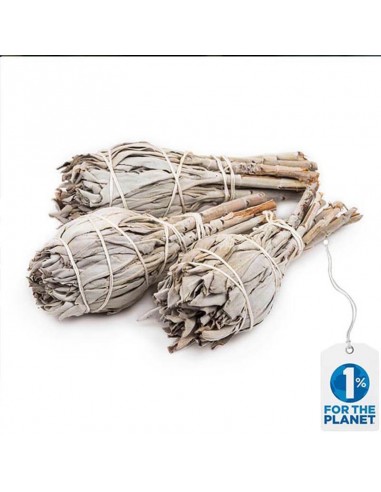 Sauge blanche bâton de fumigation 3 - 5 ou 12 torches en stock